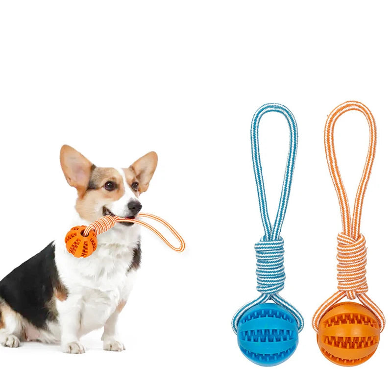 Pet Treat Balls with Rope Interactive Ball Toy