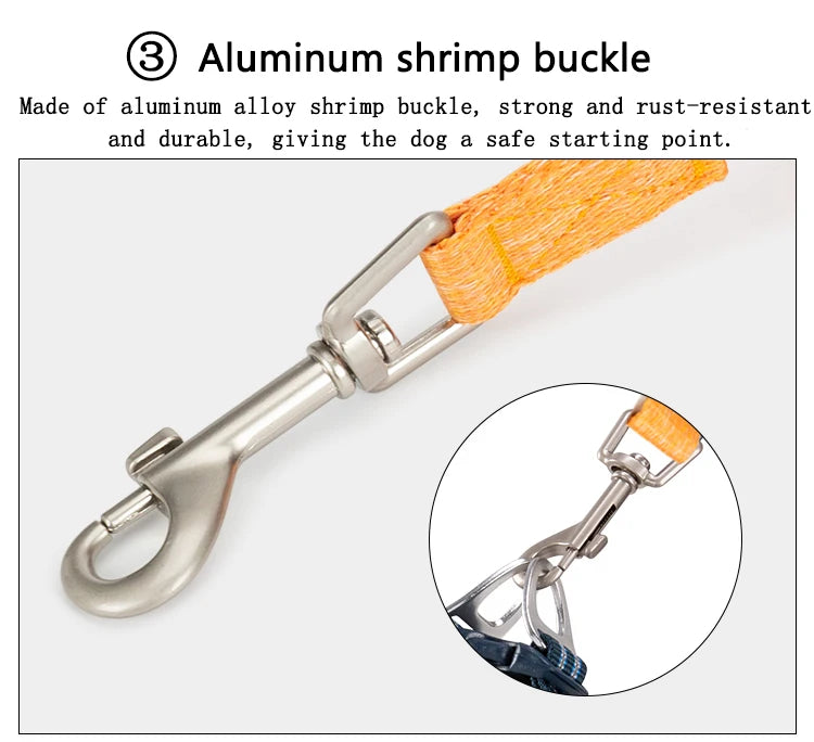 Comfort Touch Elegant Dog Leash