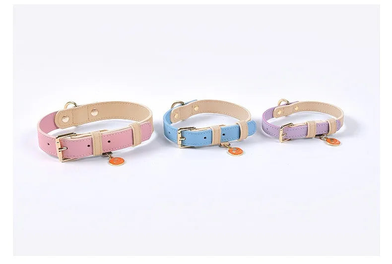 Candy collection Leather Pet Collar & Leash Set