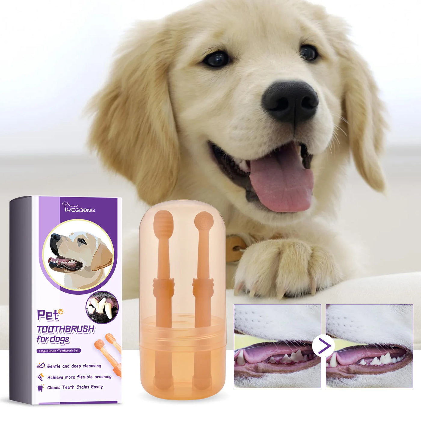 Kit de brosses à dents pour animaux de compagnie, ensemble souple en silicone