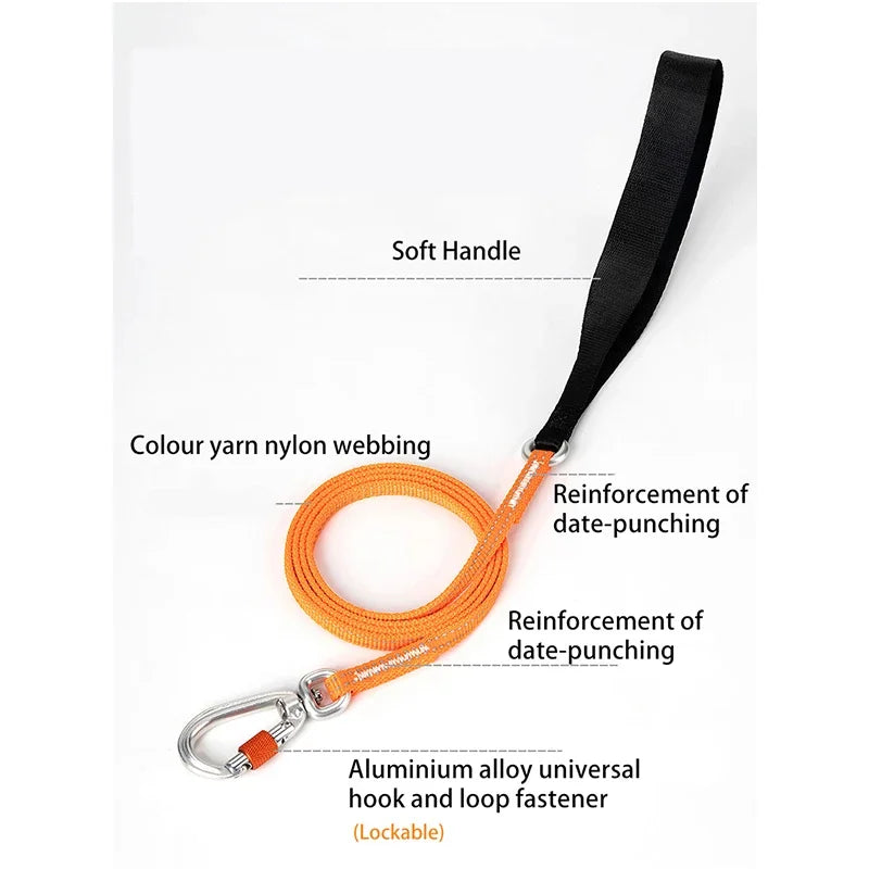 Comfy Shine Collection Lightweight Pet Leash