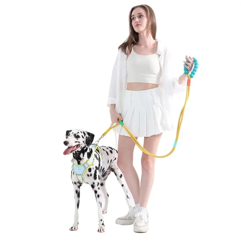 Soft Touch Explosion-Proof Leash & Collar Set