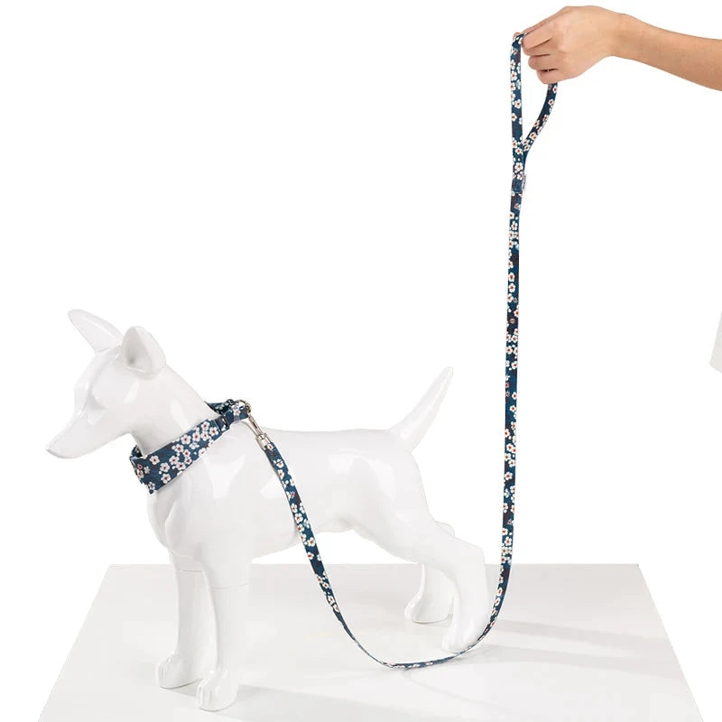 Laisse pour chien Joy Training