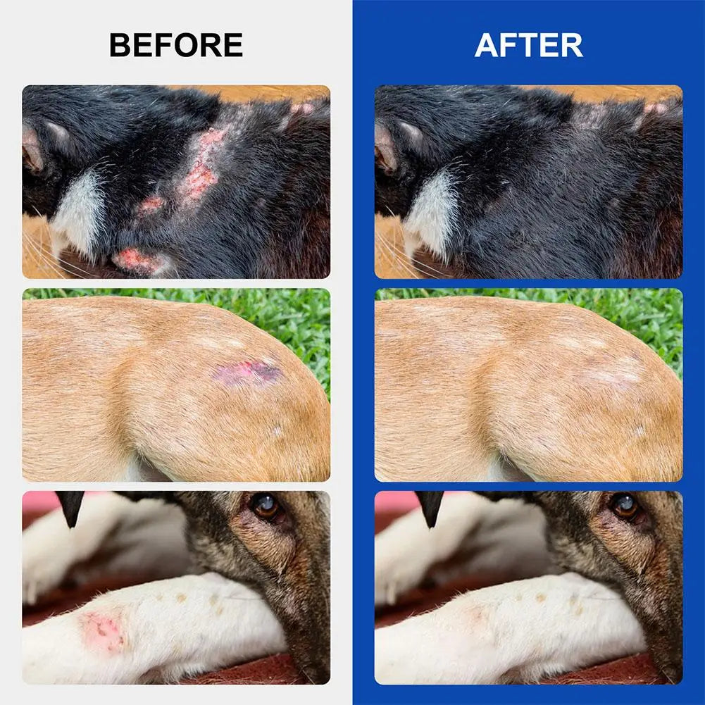 Pet Wound Spray  Repair Pet Care