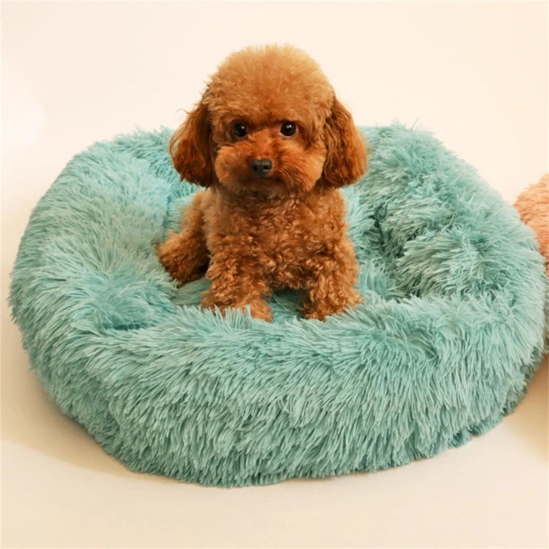 Cozy Pet Cloud Bed Multi Colors