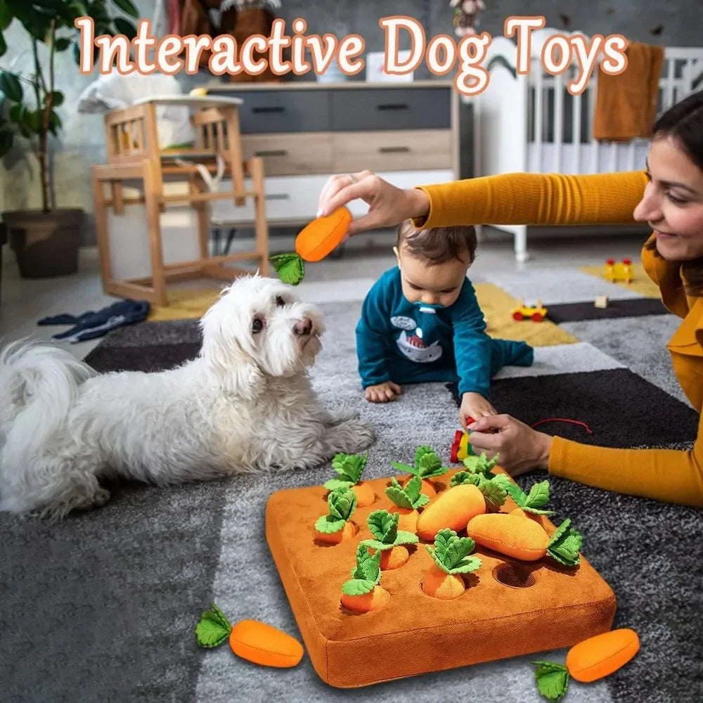 Pet Farmer Carrot Snuffle Mat