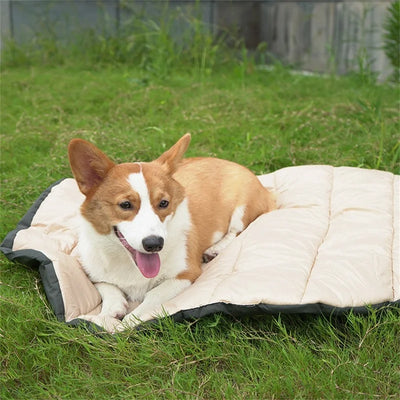 Tapis de voyage pliable pour animaux de compagnie, coussin imperméable pour l'extérieur