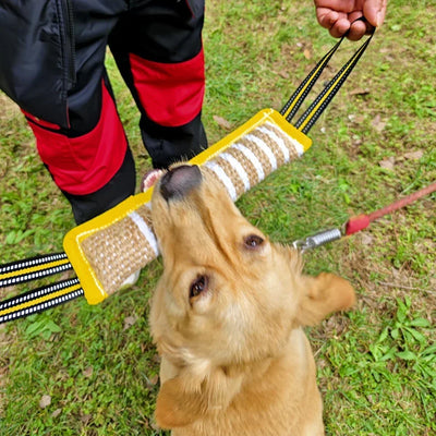 Pick Up Dog Chew Training Toys