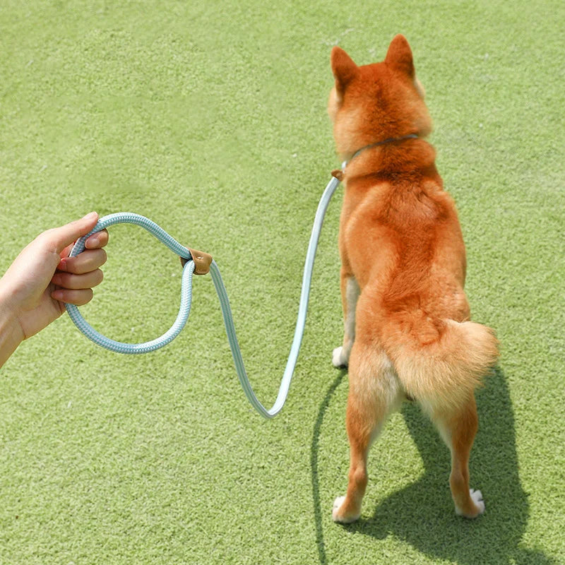 Collier et laisse pour chien Happy Collection P Chain Easy Control Réglable