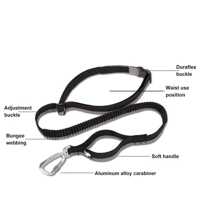 Running Bungee Leash Hands Free Dog Leash