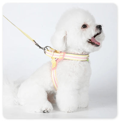 Soft Touch Strong Durable Vest Dog Harness and Leash Set