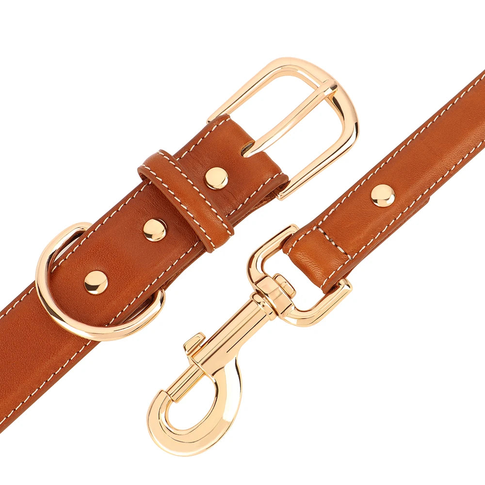 Classic Leather Dog Collar and Leash Set