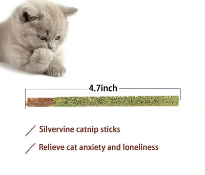 Natural Cat Stick Mint Teeth Cleaning Treating