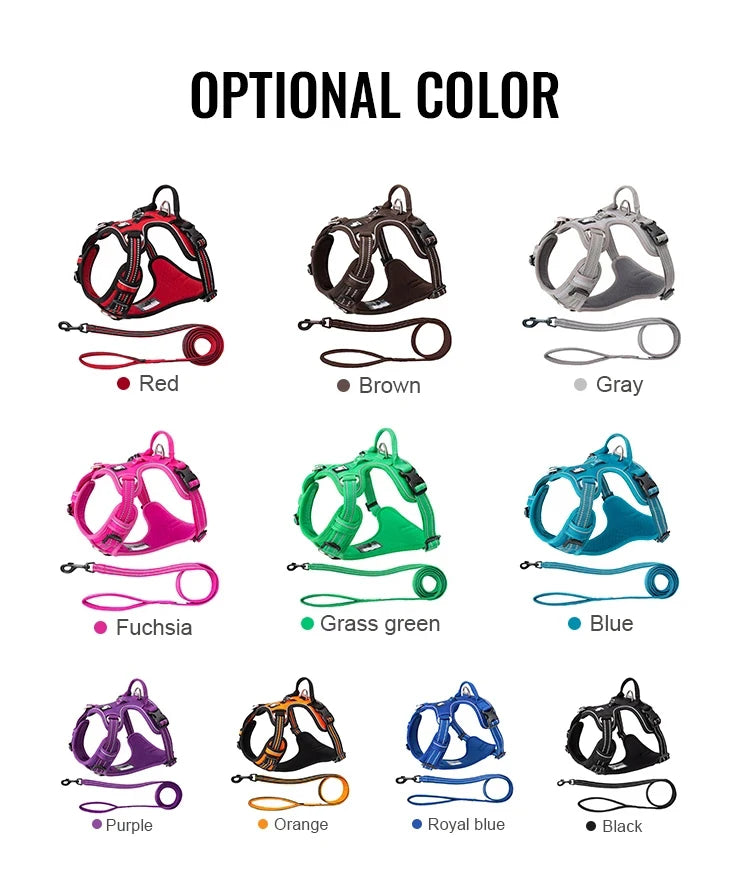 Pet Harness & Leash Set