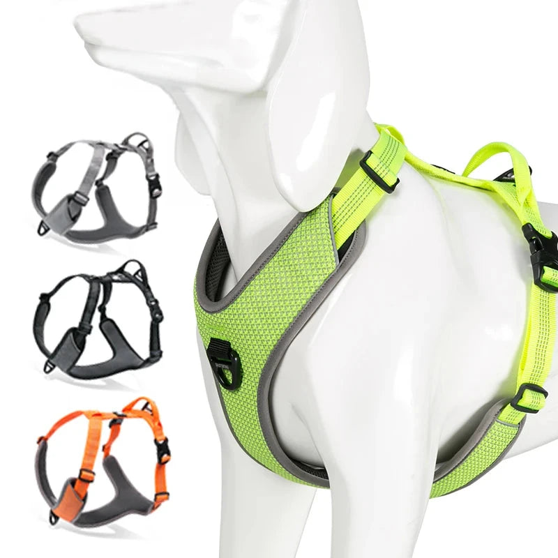 X-Treme Control Hundegeschirr