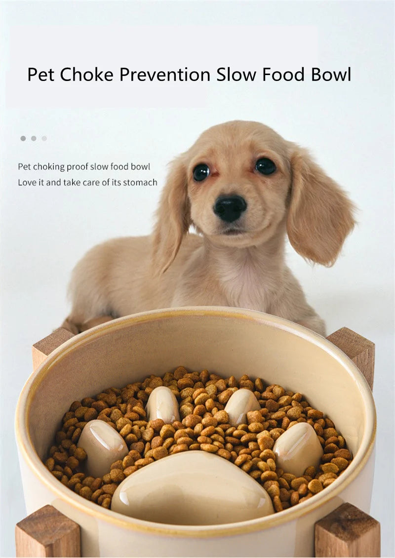 Paw Slow Food Ceramic Food Bowl for Dogs