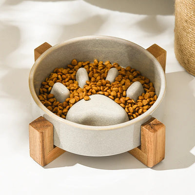 Paw Slow Food Ceramic Food Bowl for Dogs