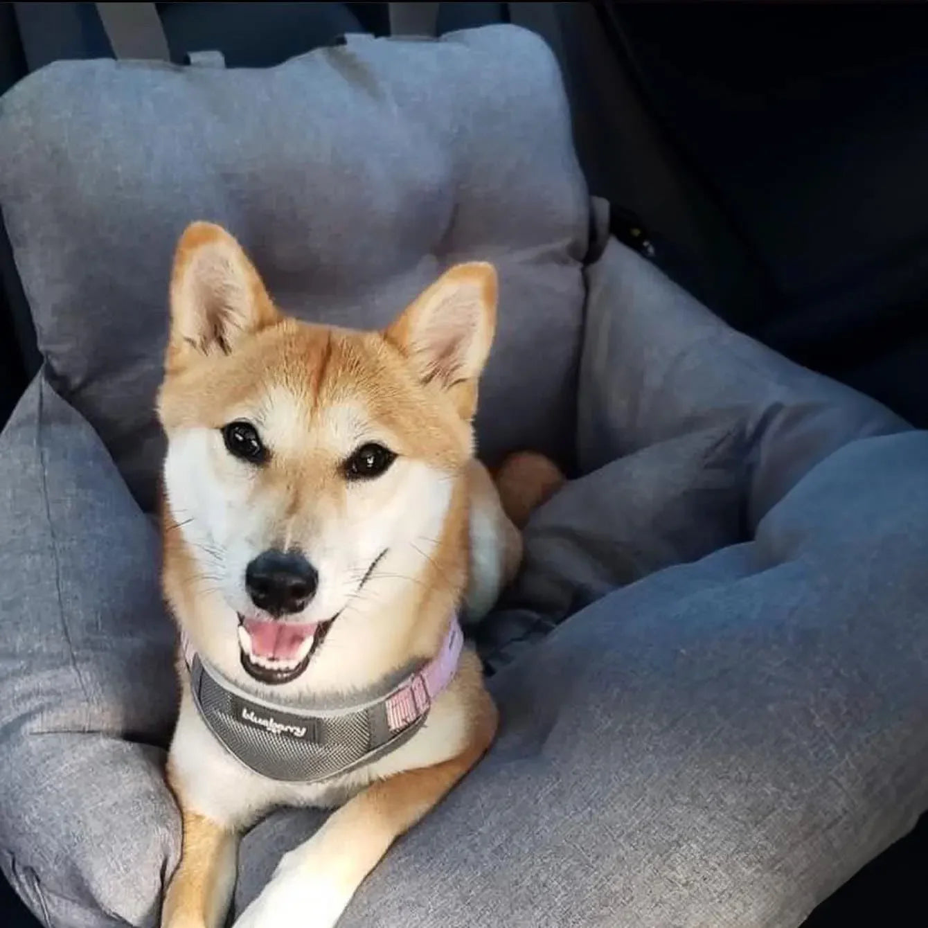 Nid pour animaux de compagnie de voyage en voiture étanche