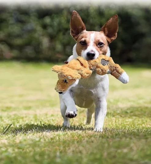 KONG Scrunch Knots Waschbär-Hundespielzeug