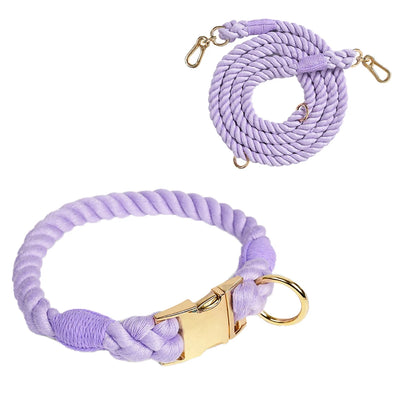 Ensemble collier et laisse pour chien Macaron