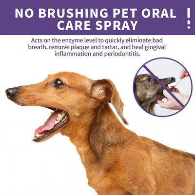 Spray nettoyant oral pour animaux de compagnie, déodorant pour nettoyer les dents, 50 ml