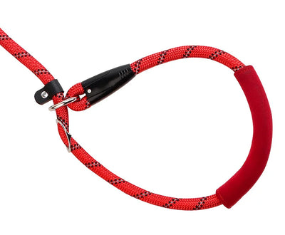 Ultra Soft P Chain Dog Leash & Collar One-Piece