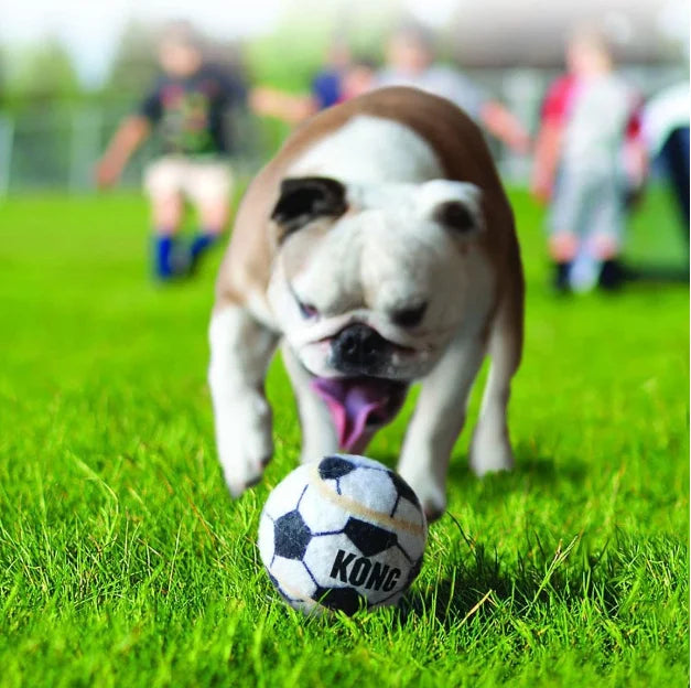 KONG Sport Balls Verschiedene Hundespielzeuge