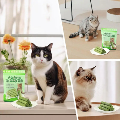 Natural Cat Grass Teeth Cleaning Stick With Catnip