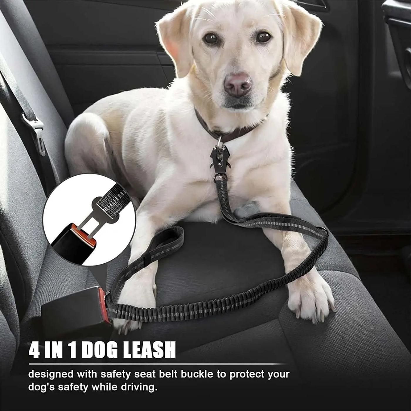 Ultra Resistant 2 In 1 Dog Lash Car Leash