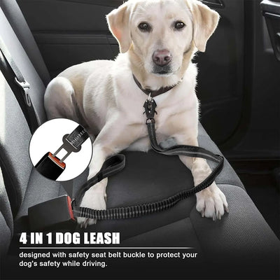 Ultra Resistant 2 In 1 Dog Lash Car Leash