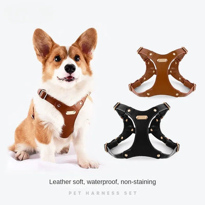 Soft Leather Dog Pet Chest Strap Set