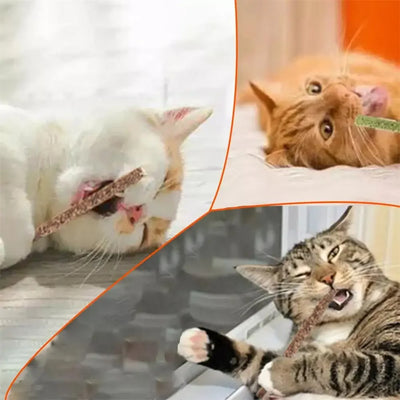 Bâton de nettoyage et de traitement naturel pour les dents à la menthe pour chat