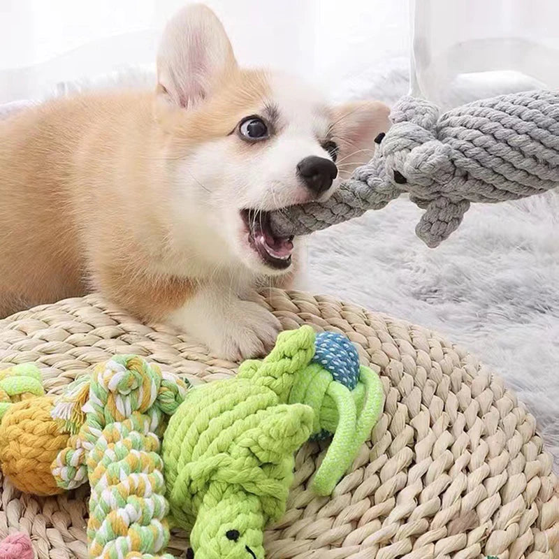 Jouet en corde pour chien, jouet à mâcher en forme d'animal de dessin animé