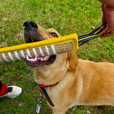 Kauspielzeug für Hunde zum Aufheben