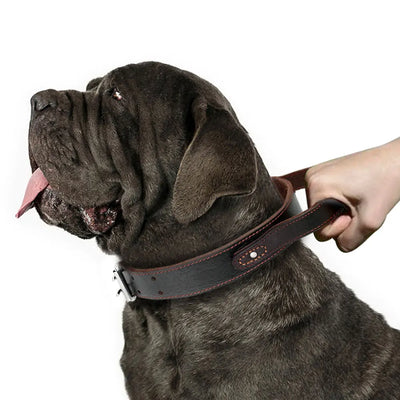 Super Control  Leather Dog Collar Durable Short Handle