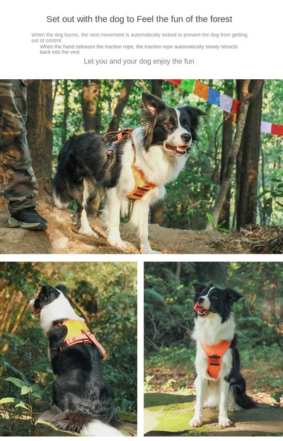 Easy Walk Dog Harnesses with Retractable Dog Leash