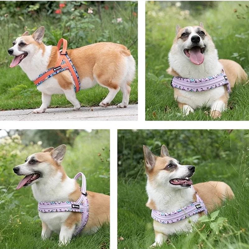 Premium Pet Soft Harnesses Special Print