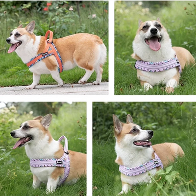 Premium Pet Soft Harnesses Special Print