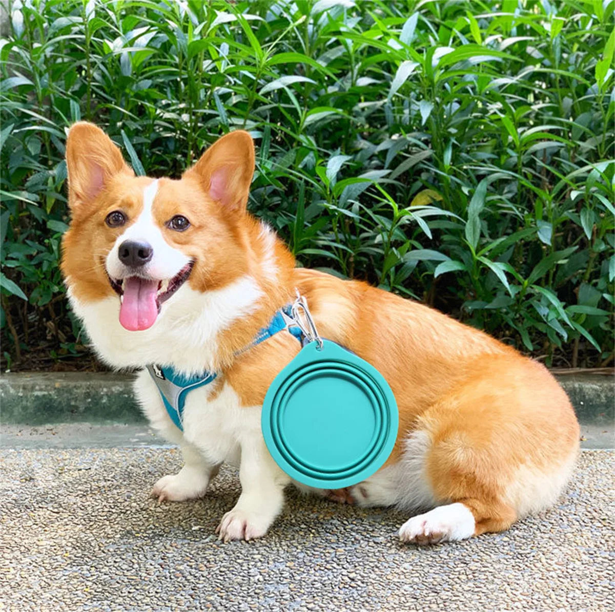 X Large Collapsible Dog Pet Folding Silicone Bowl