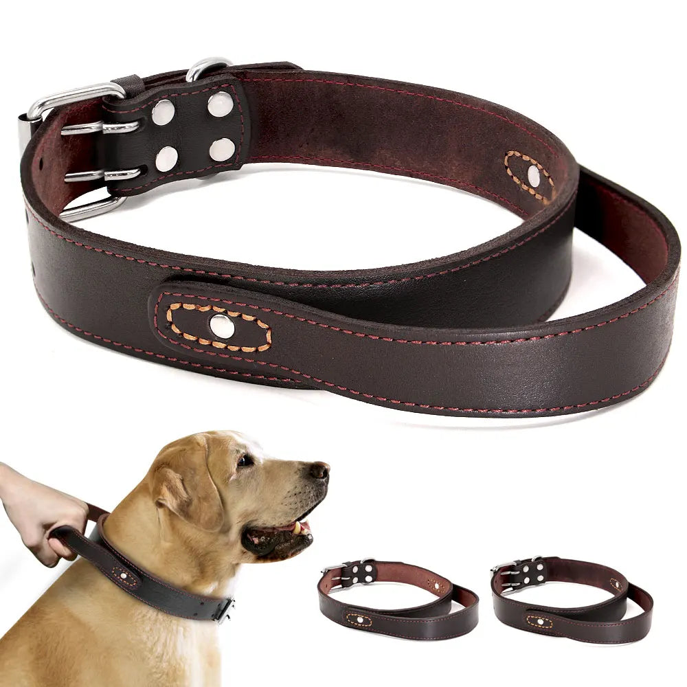 Super Control  Leather Dog Collar Durable Short Handle