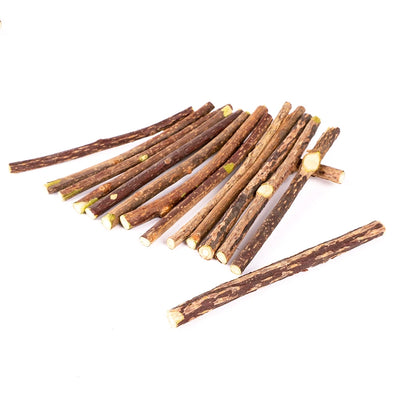 Silvervine Sticks for Cats Natural Catnip Chew Sticks