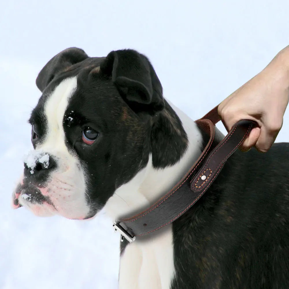 Collier pour chien en cuir Super Control avec poignée courte durable