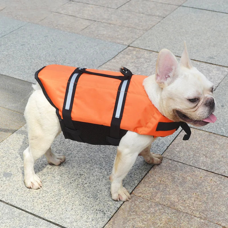 Summer Dog Life Vest