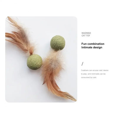 Cat Catnip Feather Toy Balls Fresh Breath Teeth Grinding