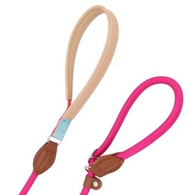 Candy Collection P Chain Dog Training Leash Collar Anti-Choking