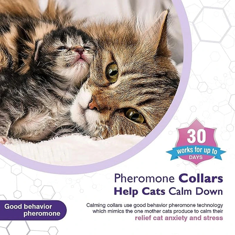 Calming Collar Cat And Dog Relieve Anxiety Protection Retractable Collars