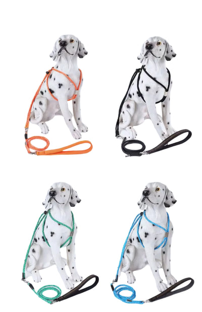 Anti-Break-Free 2in1 Dog Harness Leash