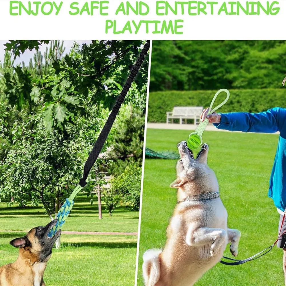 Interactive Dog Spring Rope Outdoor & Indoor Hanging