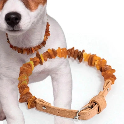 Natural Amber Pet Collars