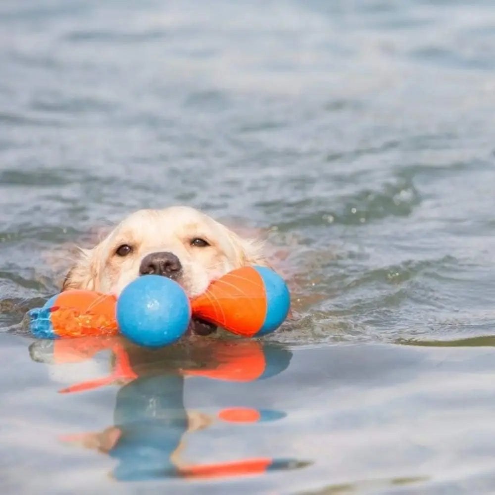 Chuckit! Amphibisches Bumper Apportier- und Schwimmspielzeug für Hunde